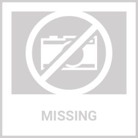 Eye Vitamins For Dogs Dog Vision Supplement For Tear Stains Dog Eye Care Immune Support Vitamin (Option: Kinpur Pet Care)